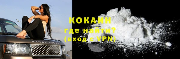 ECSTASY Лагань