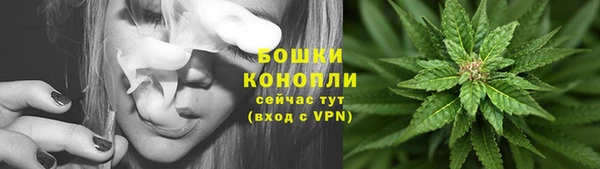 ECSTASY Лагань