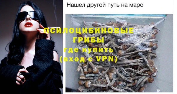 ECSTASY Лагань