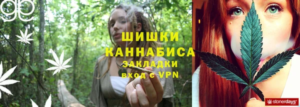 бошки Лабытнанги