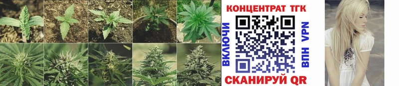 Дистиллят ТГК THC oil цены наркотик Старый Крым