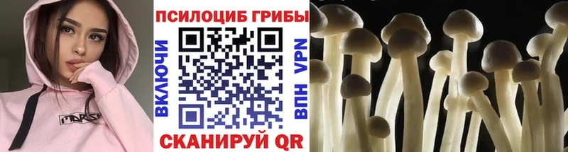 Псилоцибиновые грибы GOLDEN TEACHER  купить   Старый Крым 